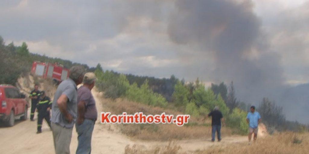 φωτιά-στο-ελληνοχώρι-κορινθίας-συναγ-629646