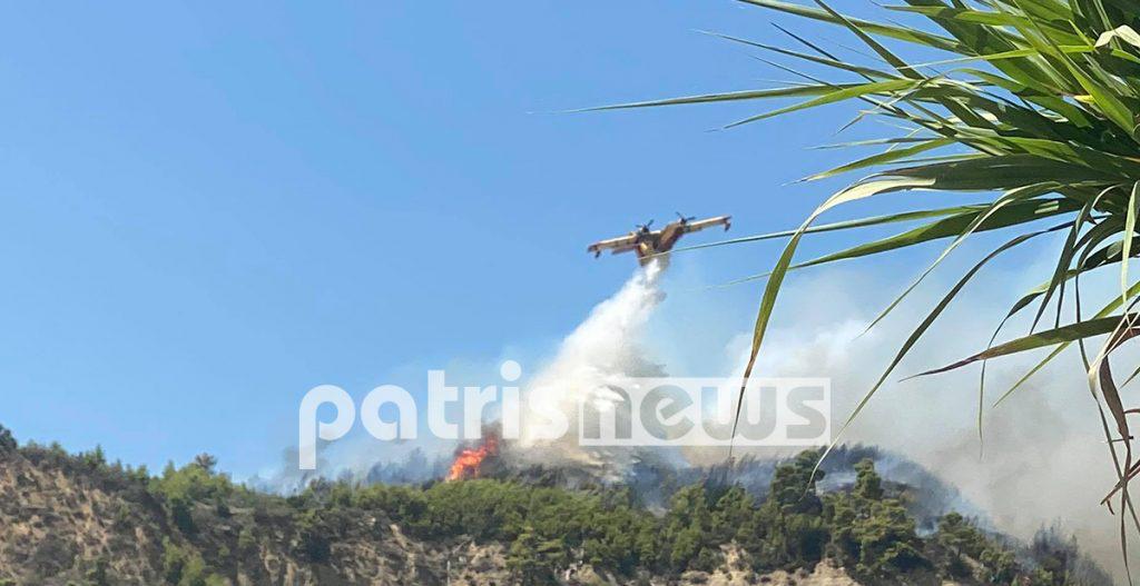 ηλεία-σε-πύρινο-κλοιό-χωριά-της-ολυμπί-631423