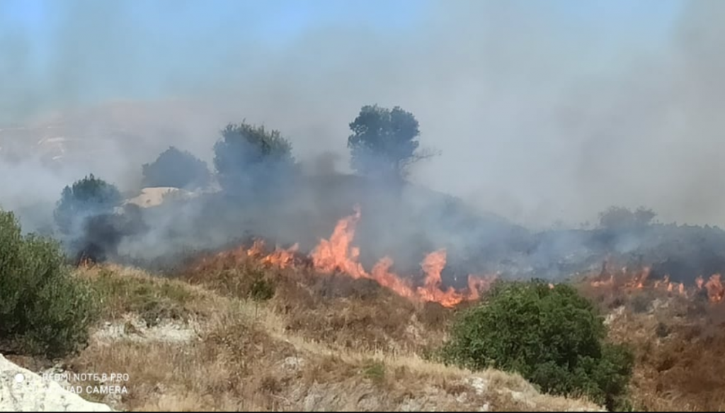 εικονεσ-φωτιά-σε-δασική-έκταση-στην-κε-628396