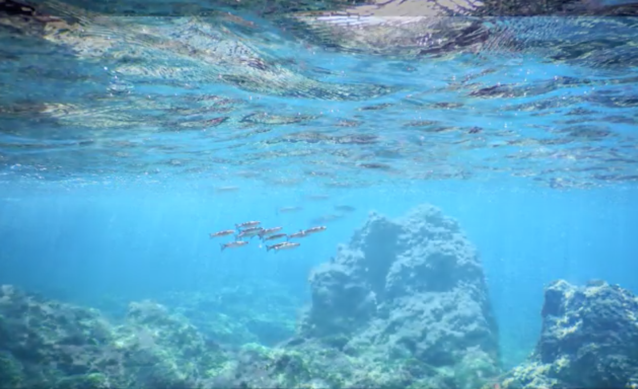 Σπηλιές θαλασσινες