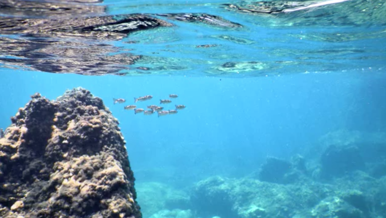 Σπηλιές θαλασσινες