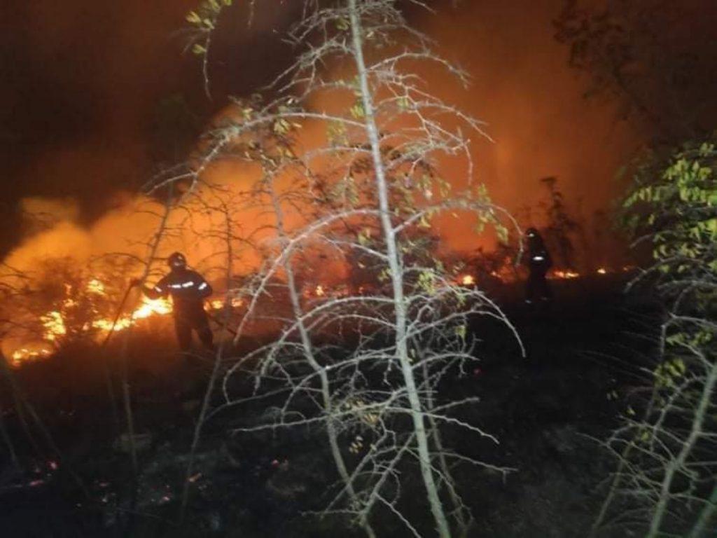 ερημίτης-κέρκυρας-πάνω-από-200-στρέμματ-642126