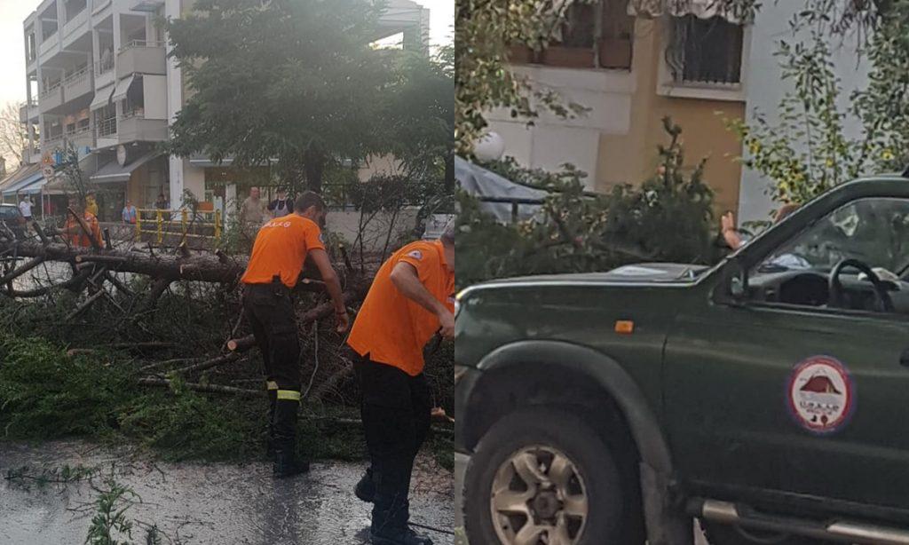 εικονεσ-προβλήματα-στον-δήμο-θερμαϊκ-638758