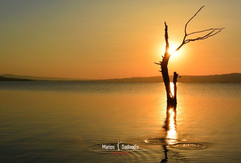 υγροβιότοποι-ένας-υδάτινος-πλούτος-σ-659534