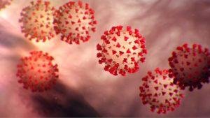 coronavirus