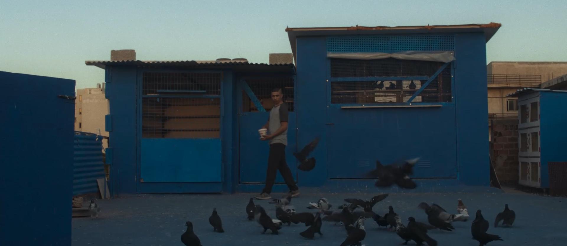 Ταινία Μικρού Μήκους