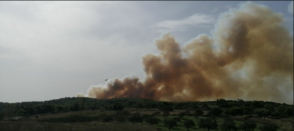 μεγάλη-φωτιά-σε-δασική-έκταση-στη-ζάκυ-666236