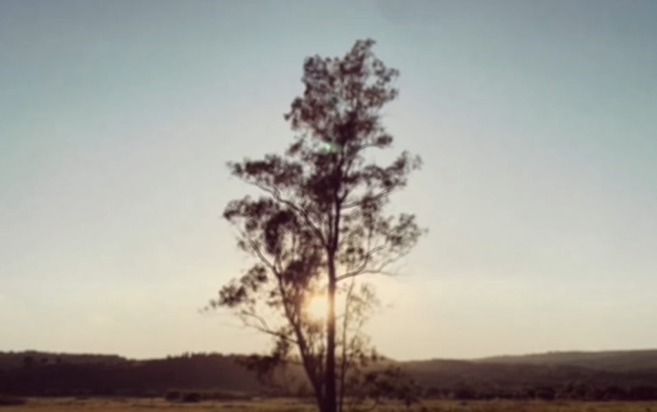 πανδημία βίντεο