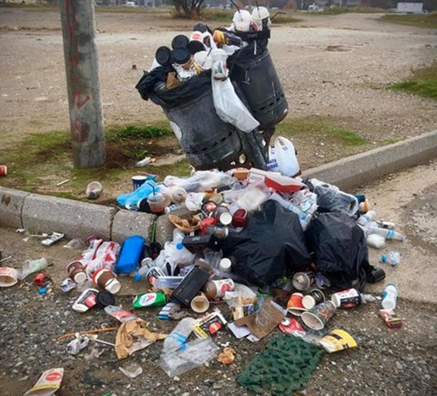 σκουπίδια παραλία 2