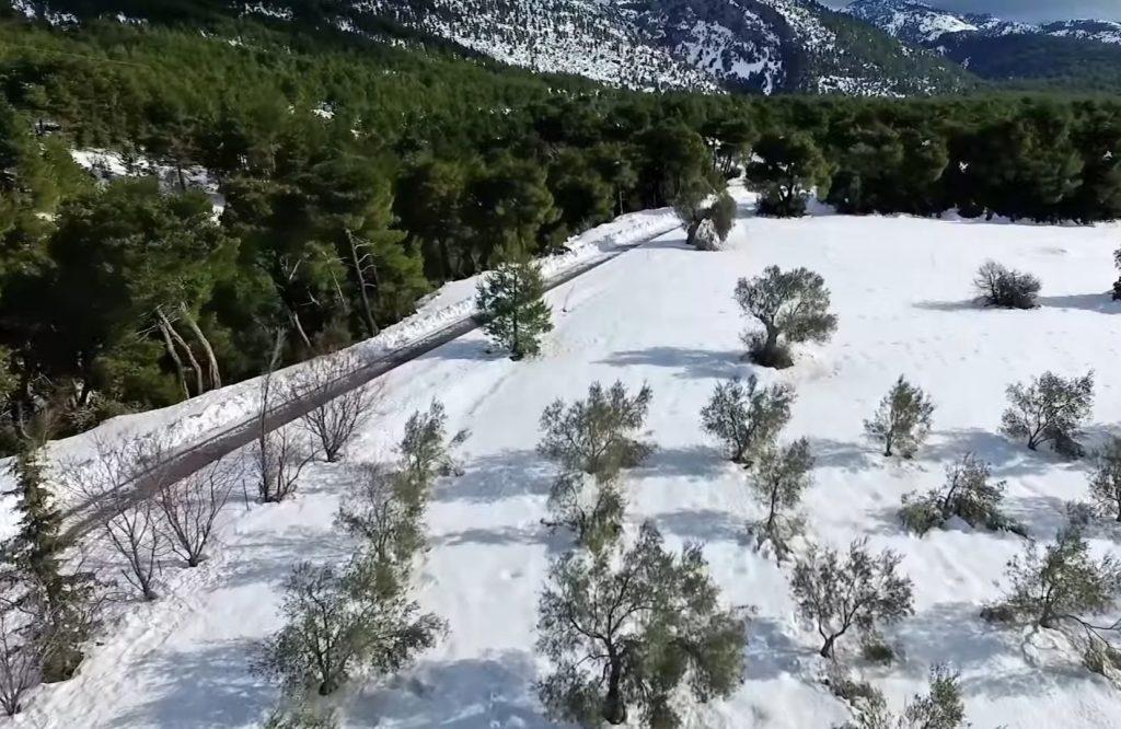 μια-μαγευτική-πτήση-στην-χιονισμένη-ε-711382