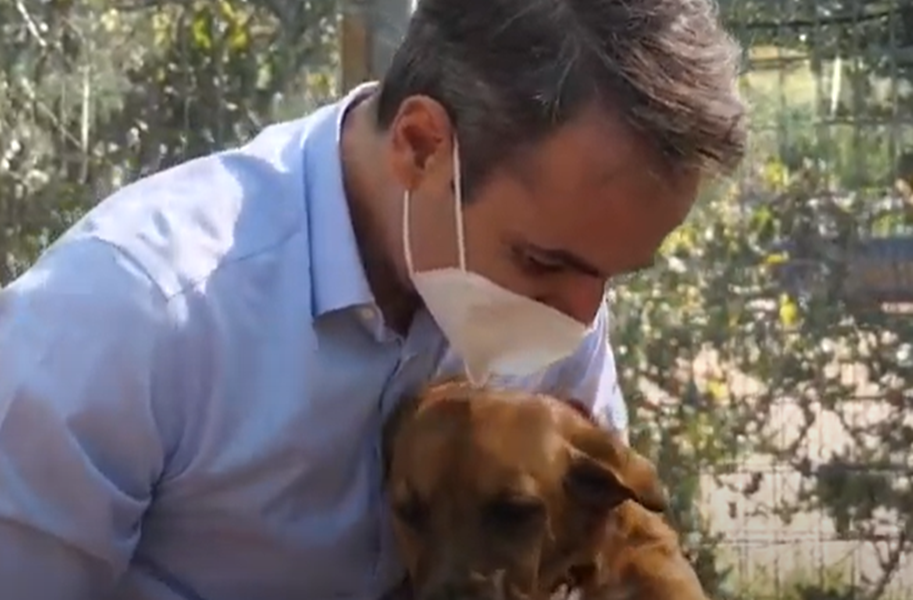 καταφύγιο ζώων