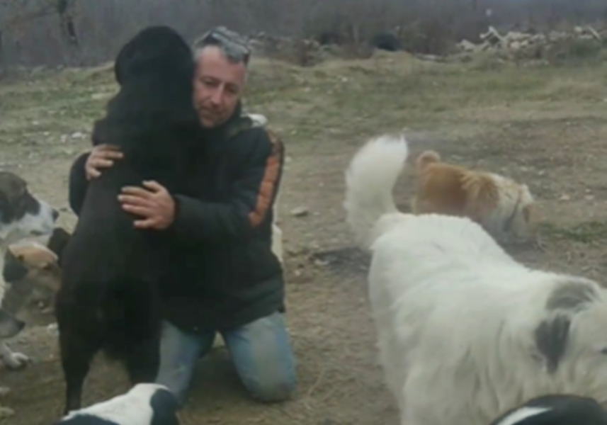 φροντίδα αδέσποτων