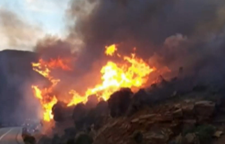 φωτια ανδρος