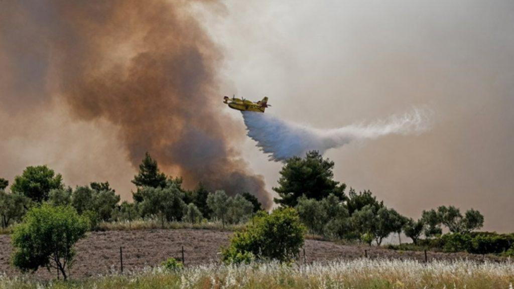 ενημέρωση-για-τις-πυρκαγιές-σε-γεράνε-763474