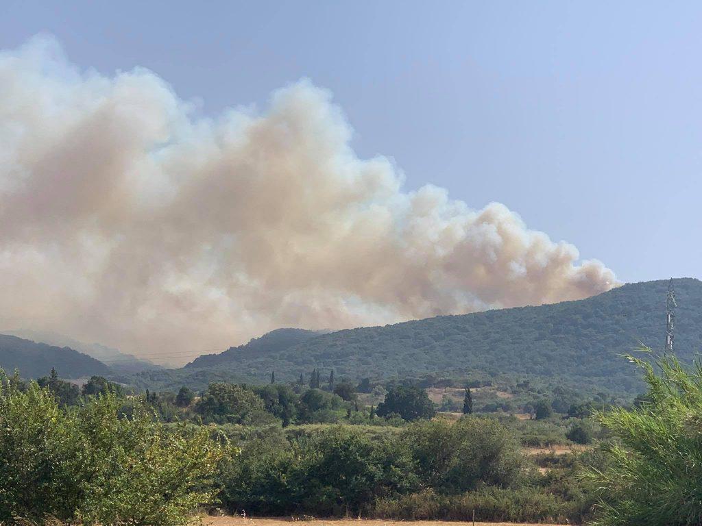 μεγάλη-φωτιά-στην-περιοχή-θυρίου-αιτω-793922