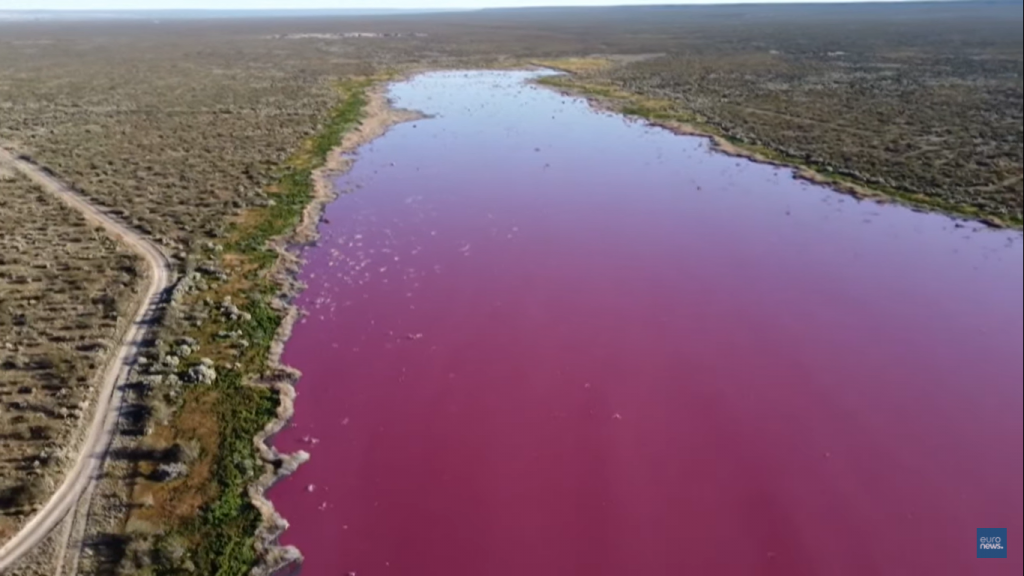 ροζ-λιμνοθάλασσα-στην-παταγονία-λόγω-792145