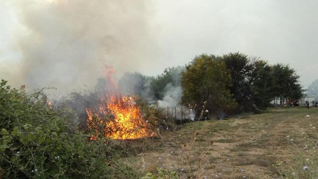 ευβοια φωτιά