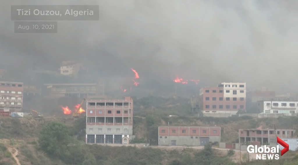 αλγερία-τουλάχιστον-42-νεκροί-σε-πυρκαγ-799436