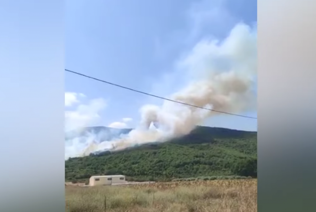 φωτιά-στο-παγγαίο-κάηκαν-300-στρέμματα-χ-802706