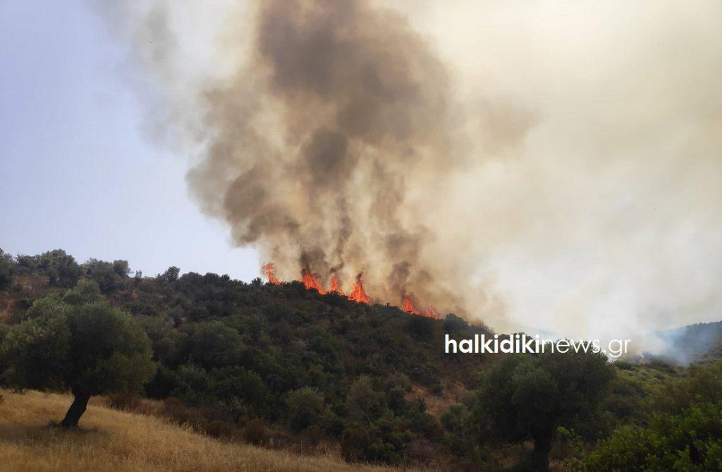 τι-συμβαίνει-στα-πύρινα-μέτωπα-σε-χαλκ-796028