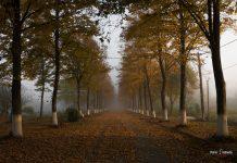 ΕΙΚΟΝΕΣ: Ανακαλύψαμε μια παραμυθένια διαδρομή λίγο έξω από τη Θεσσαλονίκη