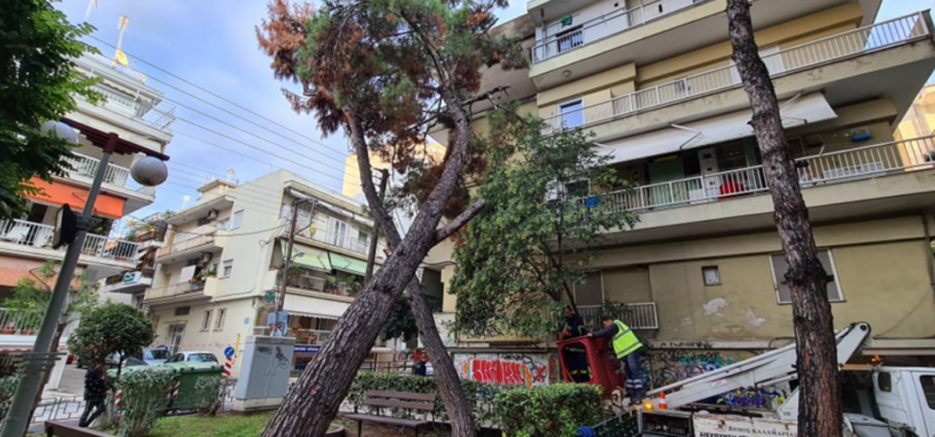 θεσσαλονίκη-δέντρο-έπεσε-πάνω-σε-πολυ-831903