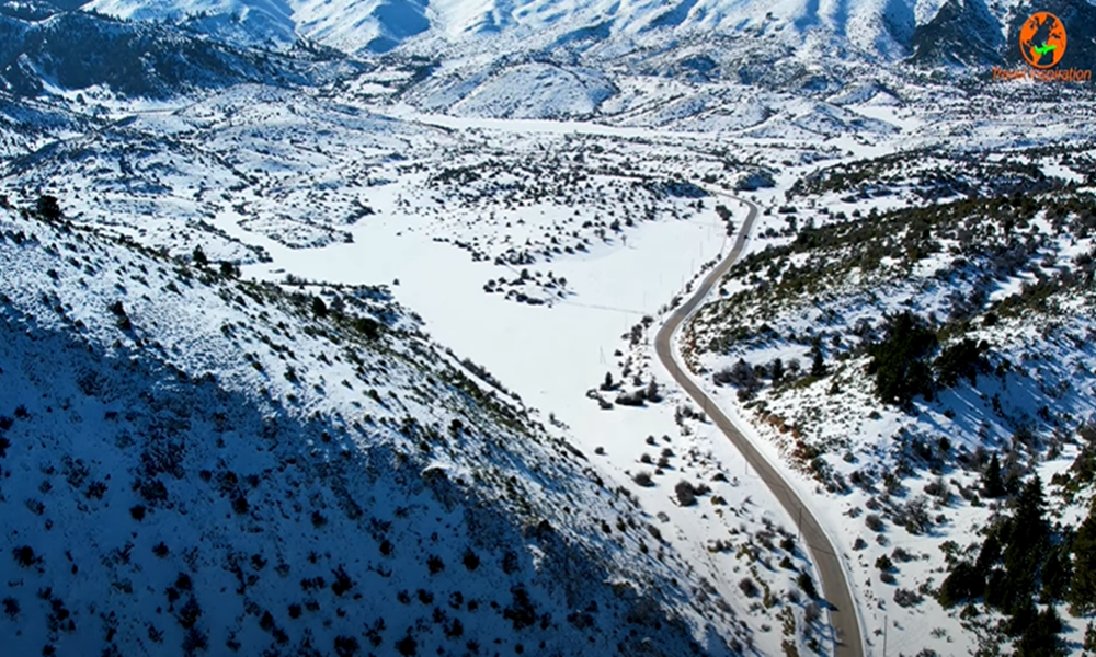 η-επιβλητική-ζήρεια-και-η-παγωμένη-λίμ-871105