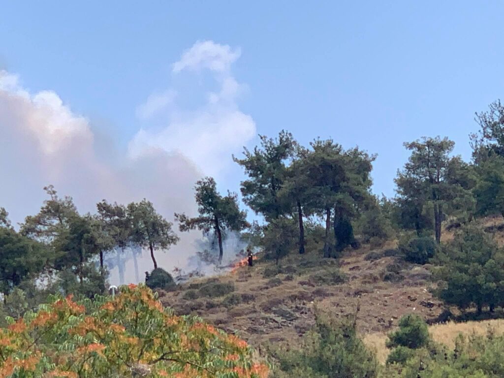 θεσσαλονίκη-μέτρα-για-πρόληψη-πυρκαγ-913959