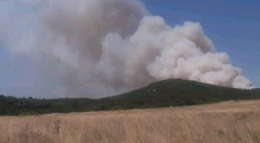 μεγάλη-φωτιά-στον-έβρο-σηκώθηκαν-ενα-909705