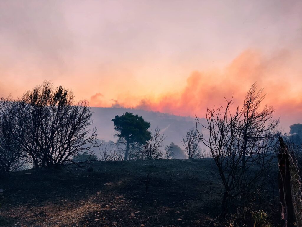 η-φωτιά-στην-πεντέλη-μέσα-από-τα-μάτια-τ-920238