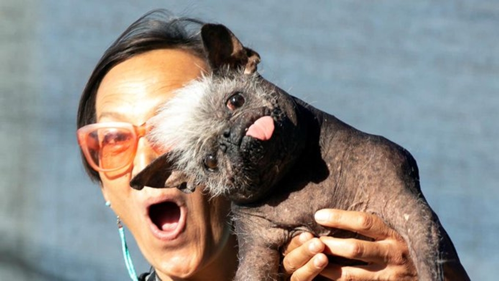 ο-πιο-άσχημος-σκύλος-του-κόσμου-για-το-2022-917255