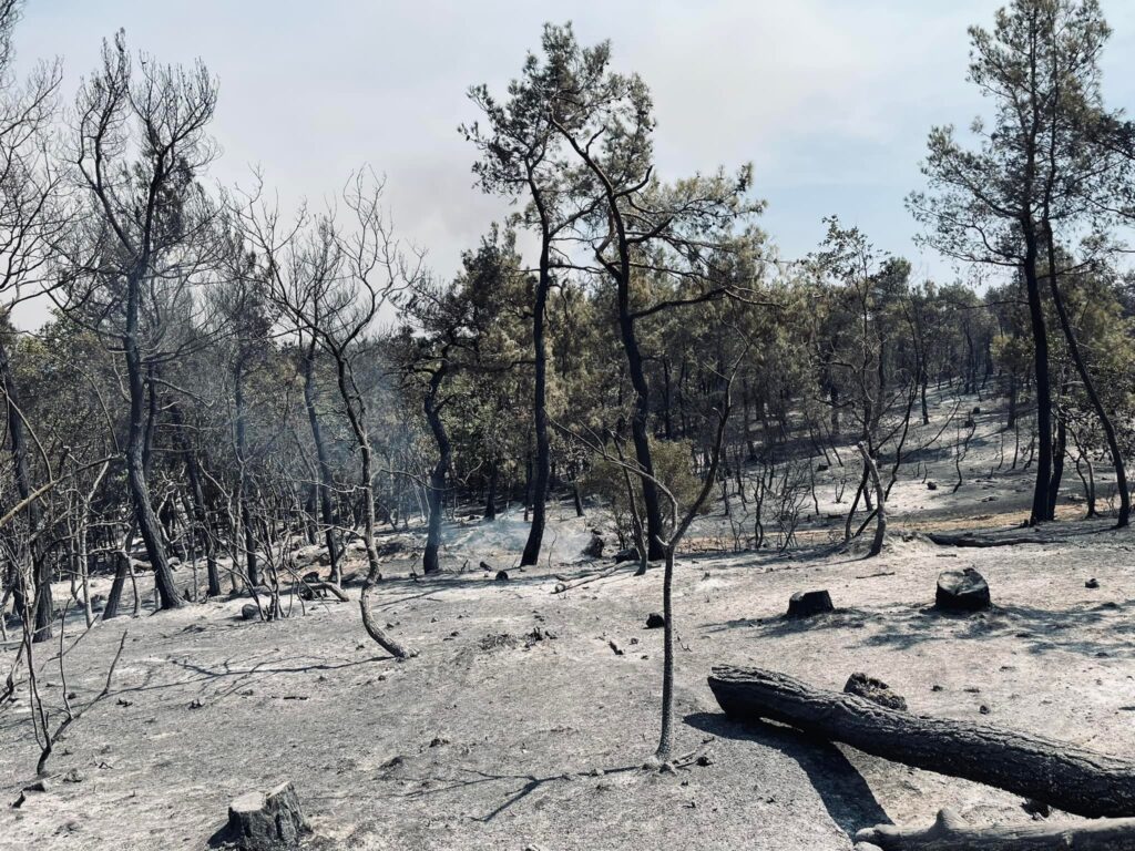 για-όγδοη-μέρα-καίγεται-η-δαδιά-στάχτ-928776