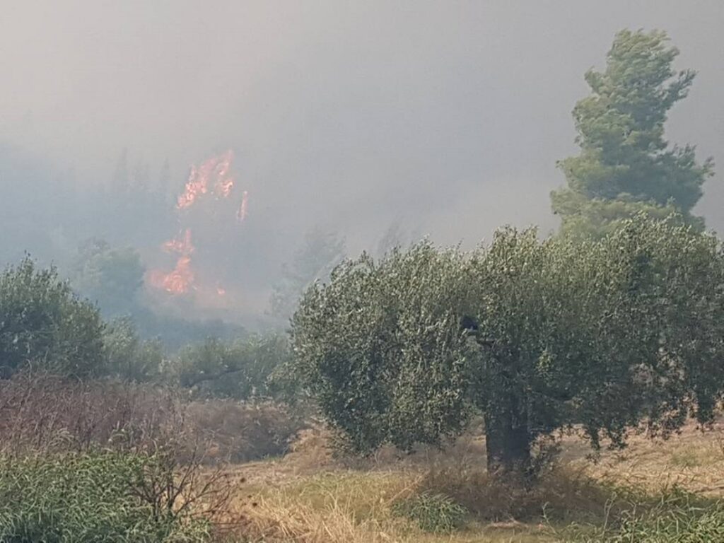 χαλκιδική-η-εικόνα-της-φωτιάς-στη-μόλα-923713