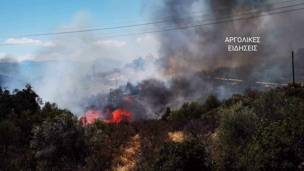 φωτιά-στην-αργολίδα-επί-ποδός-η-πυροσβ-921635