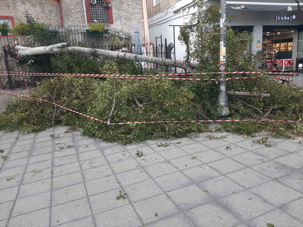 θεσσαλονίκη-έπεσαν-δέντρα-λόγω-των-ισ-962941