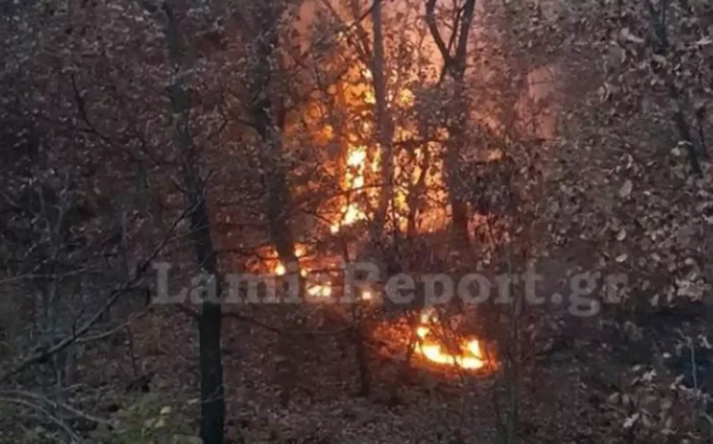 μεγάλη-φωτιά-στη-μακρακώμη-φθιώτιδας-8-975913