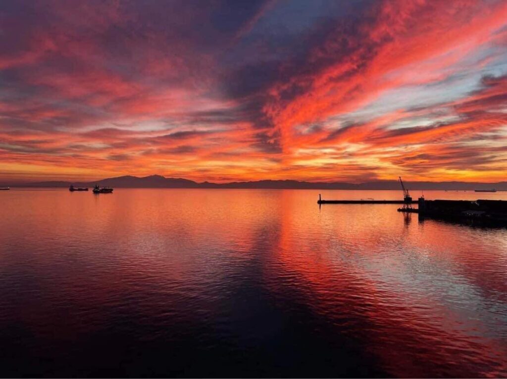 ήταν-το-χθεσινό-το-καλύτερο-ηλιοβασίλ-975250