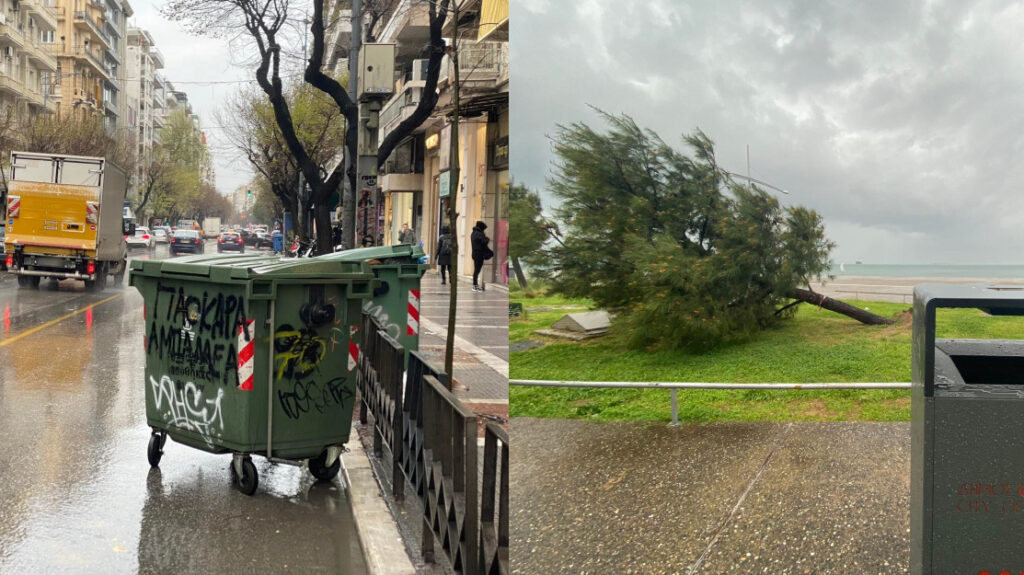 πεσμένα-δέντρα-και-κάδοι-που-πάνε-βόλ-991866