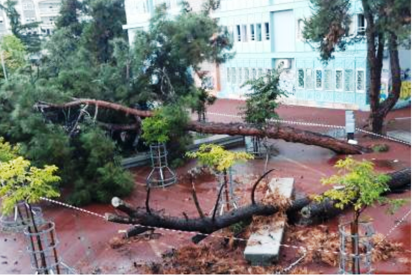 θεσσαλονίκη-έπεσαν-δέντρα-από-τους-ισ-991931