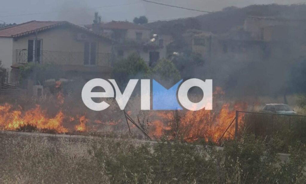 εύβοια-η-φωτιά-έφτασε-κοντά-σε-σπίτια-ο-1019131