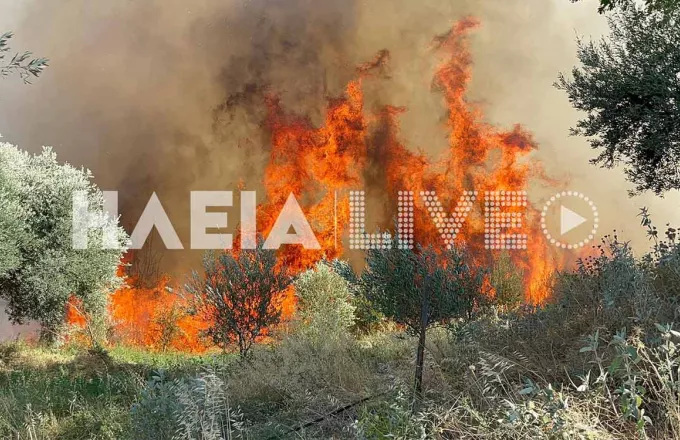 οριοθετήθηκε-άμεσα-πυρκαγιά-που-ξέσπ-1033537