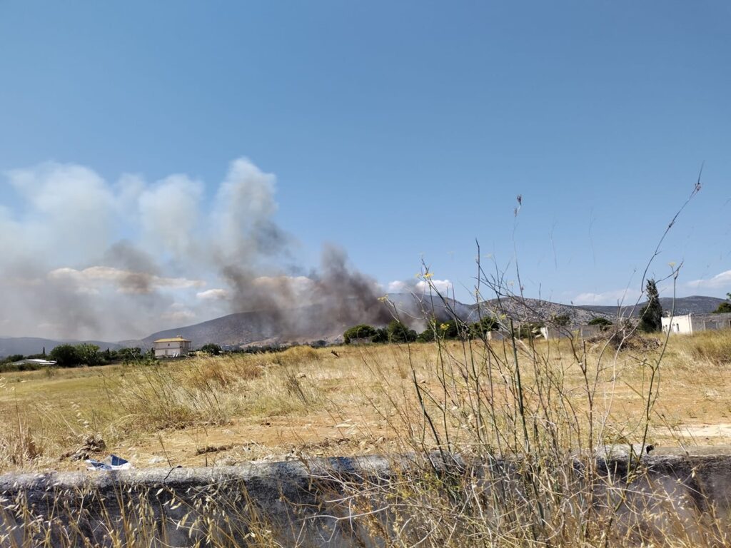 φωτιά-στον-μαραθώνα-επιχειρούν-δυνά-1042678