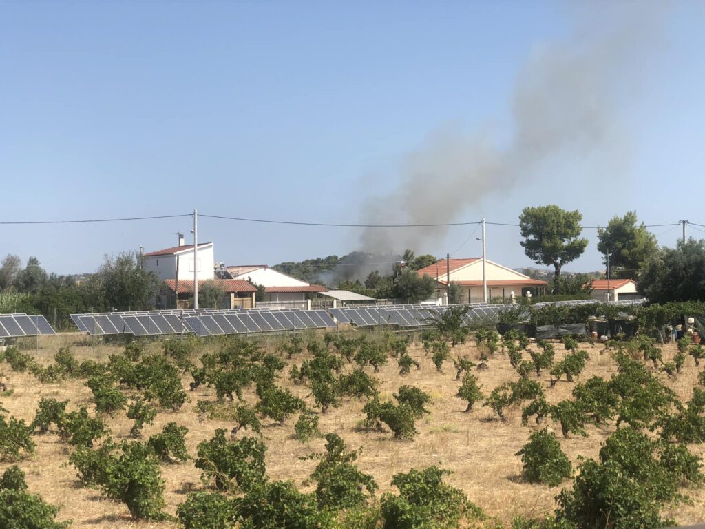 τέθηκε-υπό-έλεγχο-η-φωτιά-στην-παλλήνη-1049858