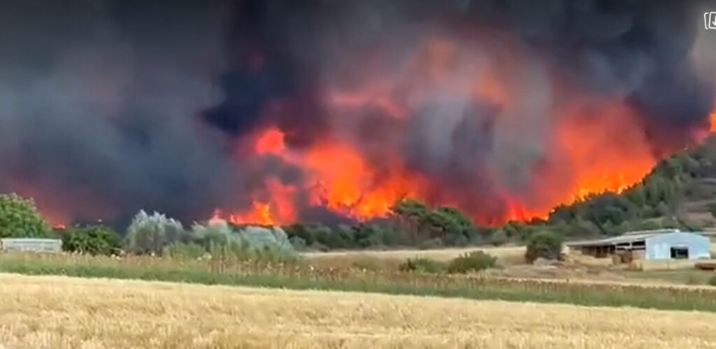 τραγωδία-δίχως-τέλος-στον-έβρο-ένας-α-1046614