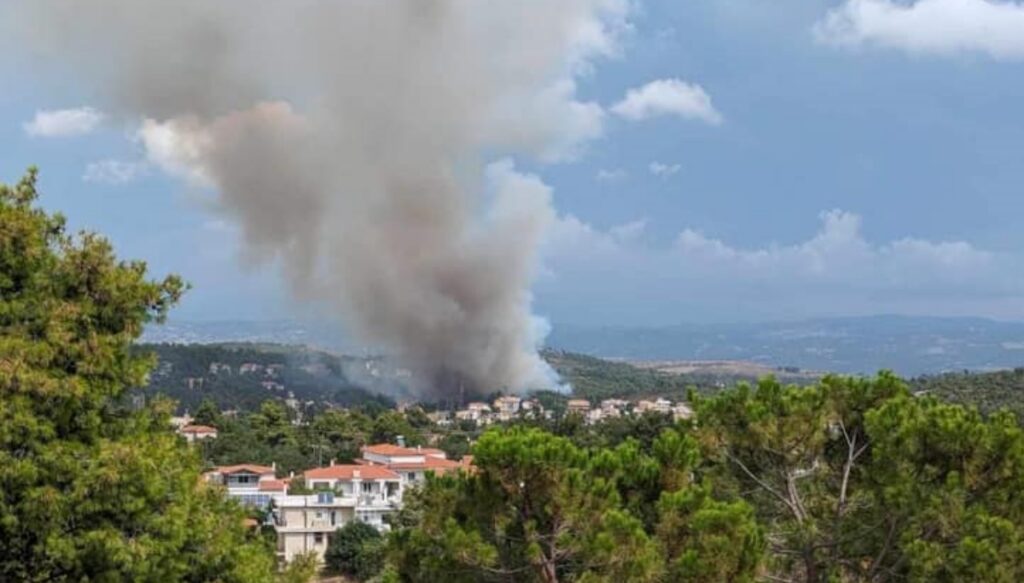 φωτιά-στην-σταμάτα-επί-ποδός-η-πυροσβε-1052181