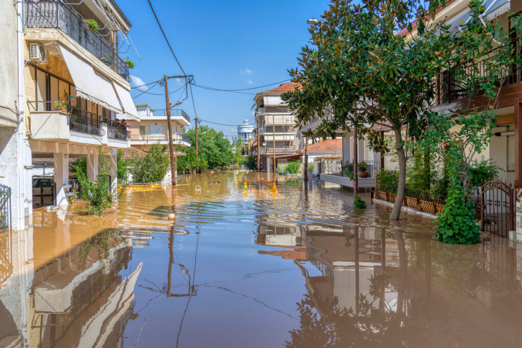 τα-πάντα-έχουν-χαθεί-ηλικιωμένοι-απ-1056285