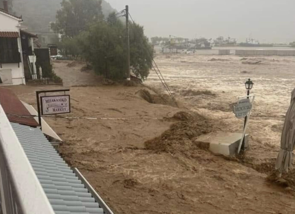 ρεπορταζ-σοκάρουν-οι-μαρτυρίες-κατοί-1053923