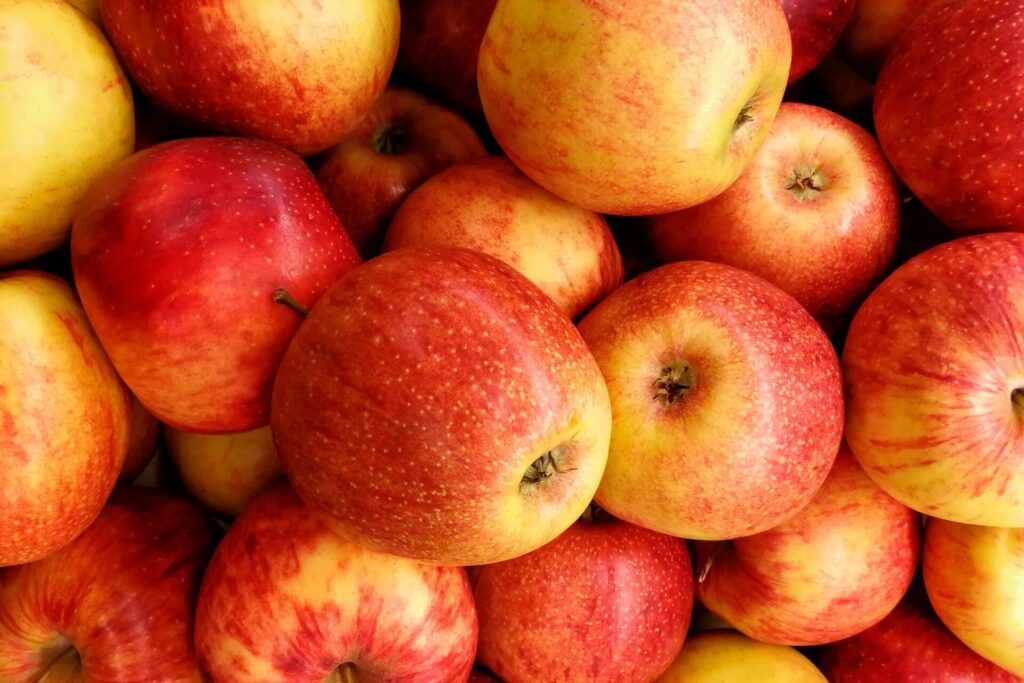 θεσσαλία-λαβωμένη-η-παραγωγή-μήλων-1071984