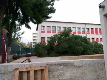 θεσσαλονίκη-έπεσαν-δέντρα-σε-αυλή-σχο-1086710