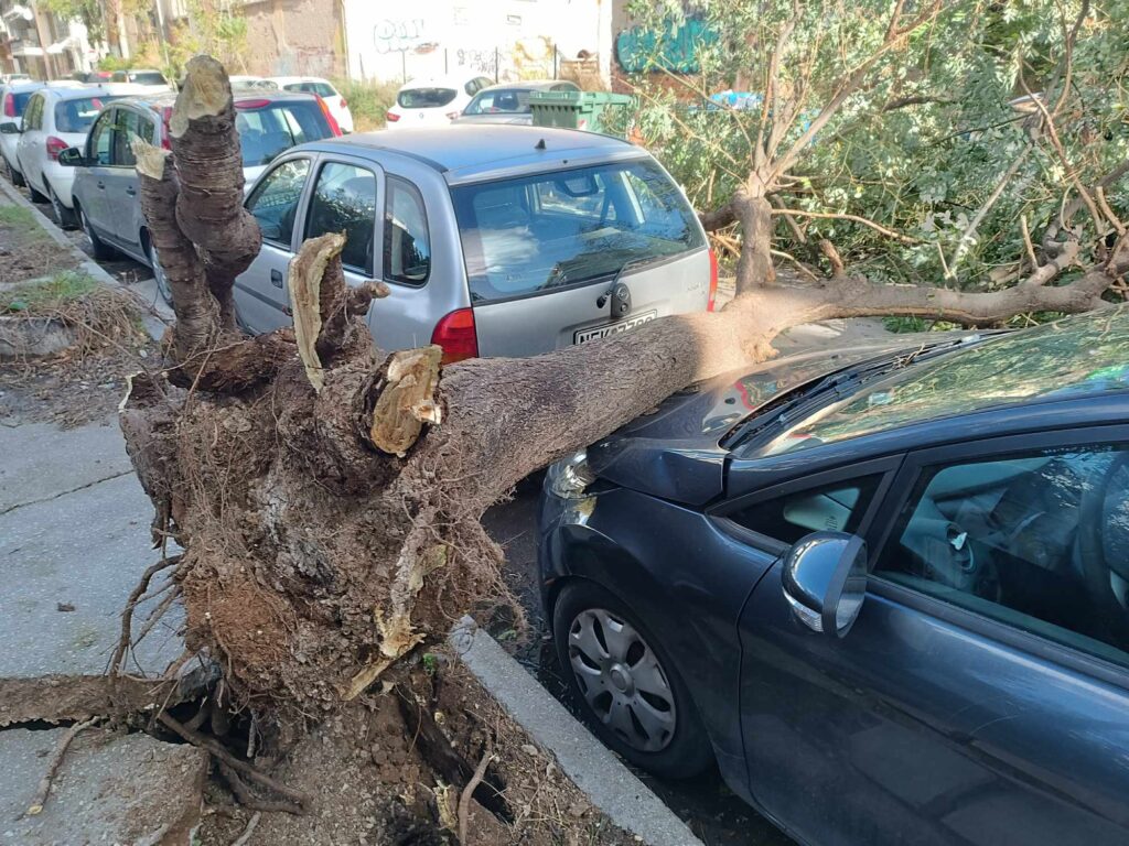 θεσσαλονίκη-δέντρο-έπεσε-και-καταπλά-1083127